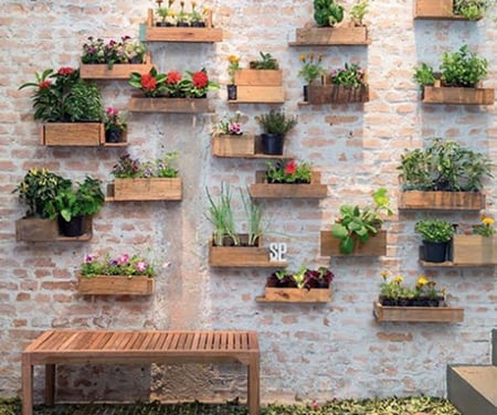 cách trồng rau sạch, vườn rau nhà phố, vườn rau ban công, khu vườn tại gia, tấm pallet
