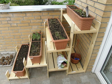 cách trồng rau sạch, vườn rau nhà phố, vườn rau ban công, khu vườn tại gia, tấm pallet