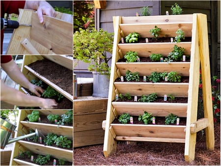 cách trồng rau sạch, vườn rau nhà phố, vườn rau ban công, khu vườn tại gia, tấm pallet