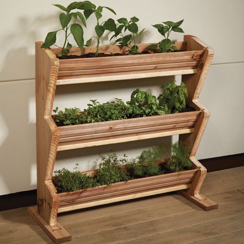 cách trồng rau sạch, vườn rau nhà phố, vườn rau ban công, khu vườn tại gia, tấm pallet
