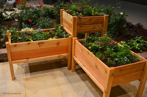 cách trồng rau sạch, vườn rau nhà phố, vườn rau ban công, khu vườn tại gia, tấm pallet