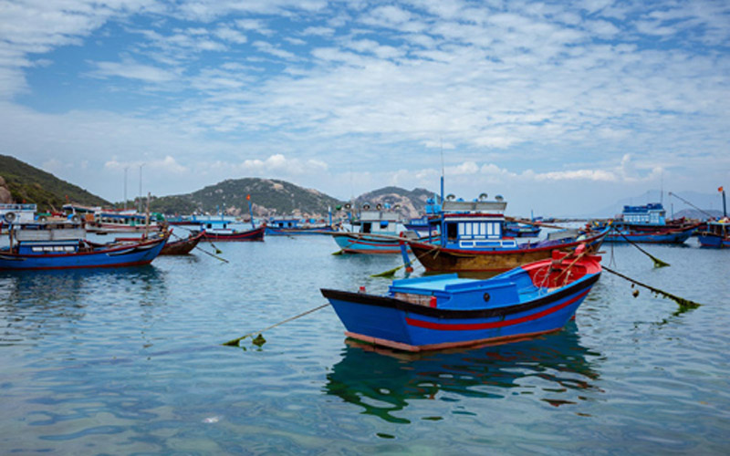 Cảng Ba Ngòi Cảng Ba Ngòi