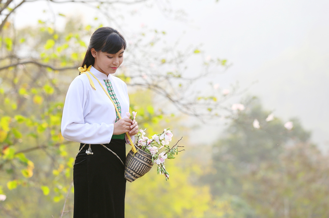 Nét tinh khôi của hoa ban tượng trưng cho vẻ đẹp xuân thì, trong trắng của người con gái Thái. Nét tinh khôi của hoa ban tượng trưng cho vẻ đẹp xuân thì, trong trắng của người con gái Thái.