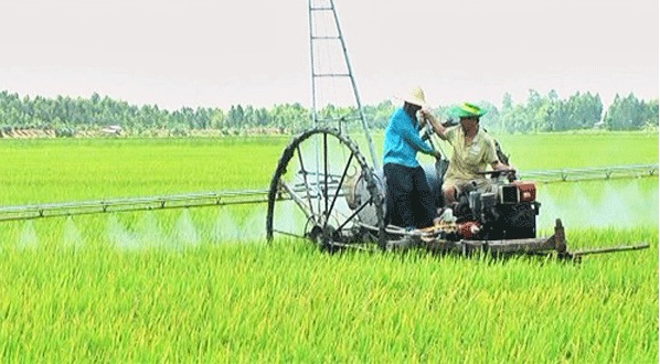 Anh Phước và anh Hoàng đang điều khiển chiếc máy phun thuốc.
