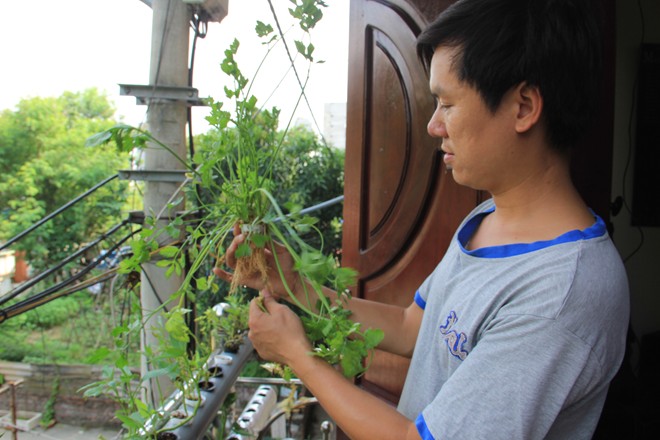 Nhờ tự thiết kế nên tiền mua dụng cụ và giống rau của anh Biết chỉ mất 500.000 đến 600.000 đồng. Nhờ tự thiết kế nên tiền mua dụng cụ và giống rau của anh Biết chỉ mất 500.000 đến 600.000 đồng.