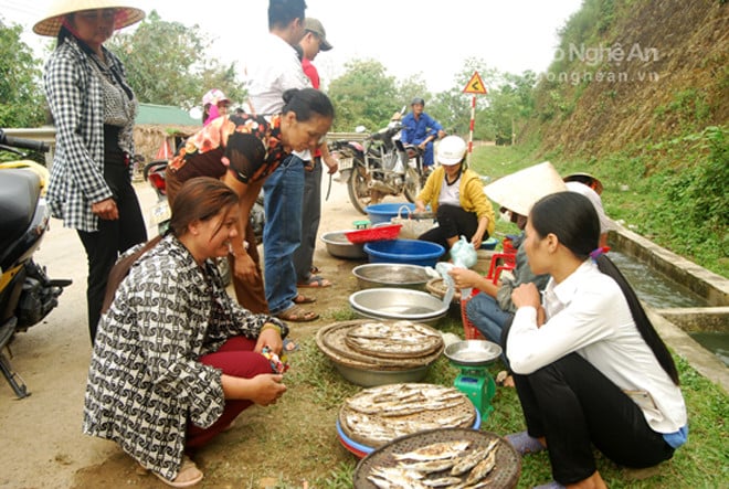 Cá mòi sông Lam tươi, nướng được bán nhiều ở cả các chợ, nhưng tươi ngon nhất vẫn là ở các bến sông gần làng vạn chài. Cá mòi sông Lam tươi, nướng được bán nhiều ở cả các chợ, nhưng tươi ngon nhất vẫn là ở các bến sông gần làng vạn chài.