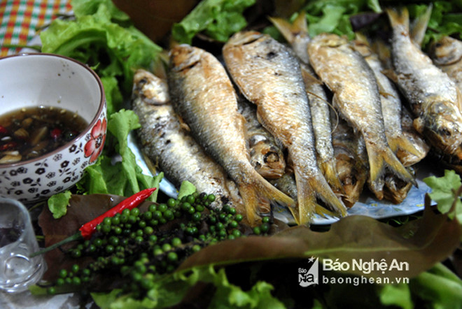 Người dân chài vào mùa nông nhàn, ngồi quây quần bên đĩa mòi vừa rán ăn kèm với mùi Tàu, húng tím, lá xoài non nhâm nhi chén rượu trắng... chuyện đánh bắt cá mòi len lỏi khắp làng quê. Người dân chài vào mùa nông nhàn, ngồi quây quần bên đĩa mòi vừa rán ăn kèm với mùi Tàu, húng tím, lá xoài non nhâm nhi chén rượu trắng... chuyện đánh bắt cá mòi len lỏi khắp làng quê.