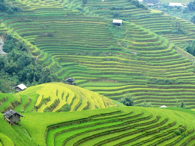 Bản Lìm Mông. Bản Lìm Mông.