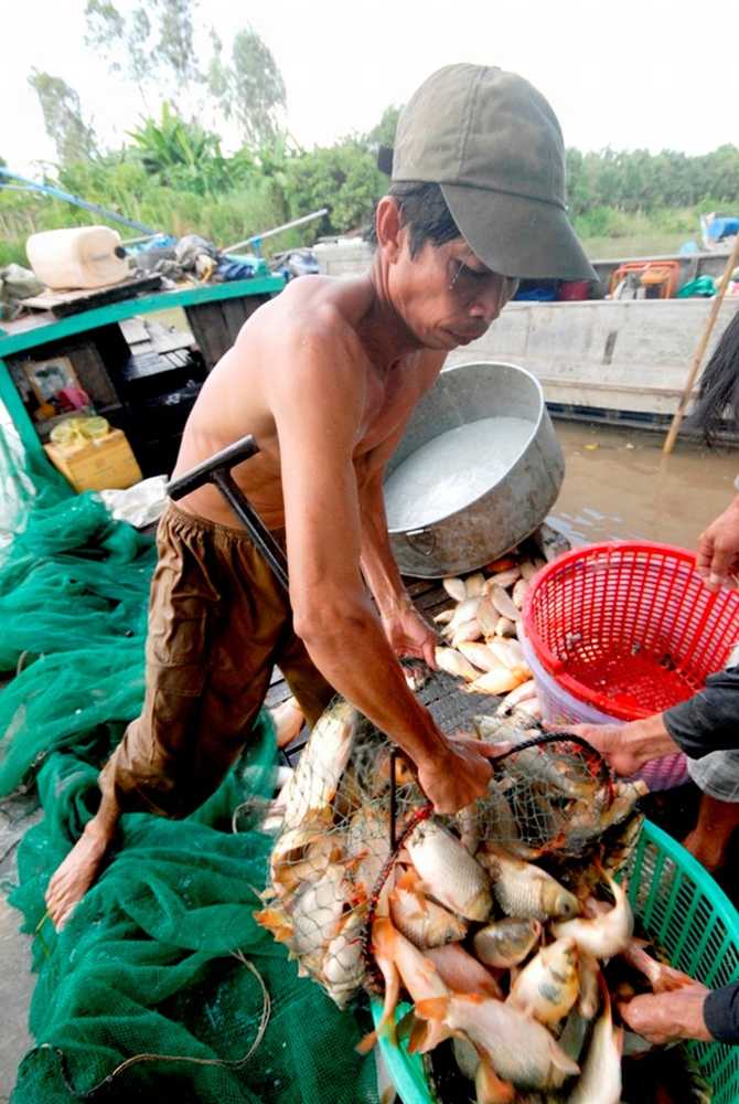 Bán cá cho thương lái tại chỗ. Bán cá cho thương lái tại chỗ.