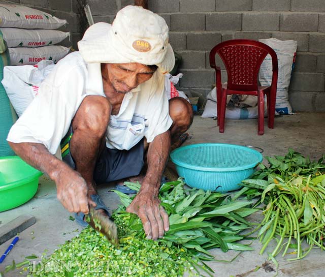 Công nhân đang chế biến thức ăn cho gà rừng. Công nhân đang chế biến thức ăn cho gà rừng.