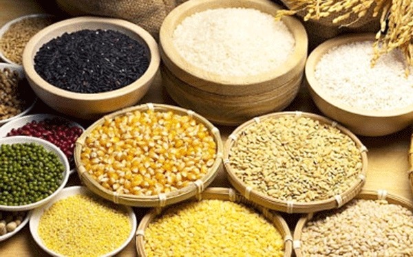 Thức ăn chăn nuôi lợn nếu không được bảo quản tốt sẽ dễ gây nấm mốc độc hại (ảnh: ST) Thức ăn chăn nuôi lợn nếu không được bảo quản tốt sẽ dễ gây nấm mốc độc hại (ảnh: ST)