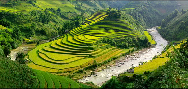 Chế Cu Nha. Chế Cu Nha.