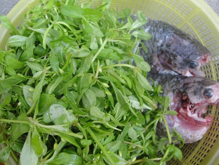 Cá rô, rau đắng. Cá rô, rau đắng.
