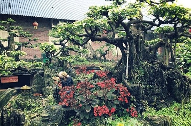 Ngoài người đàn ông trong gia đình tự chăm cây, cắt tỉa cành, thì cũng cần phải có thợ chăm bonsai chuyên nghiệp được mời đến chăm sóc thường xuyên và đúng định kỳ. Ngoài người đàn ông trong gia đình tự chăm cây, cắt tỉa cành, thì cũng cần phải có thợ chăm bonsai chuyên nghiệp được mời đến chăm sóc thường xuyên và đúng định kỳ.