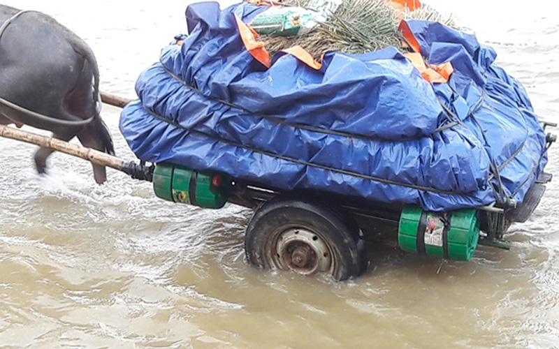 Những chiếc xe được buộc thêm những chiếc can nhựa để làm phao. Những chiếc xe được buộc thêm những chiếc can nhựa để làm phao.