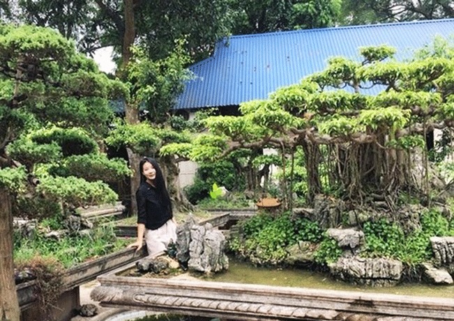 Để có được những cây cảnh bonsai tươi tốt, khỏe mạnh, dáng đẹp như vậy mất khá nhiều công sức, thời gian và tiền của. Để có được những cây cảnh bonsai tươi tốt, khỏe mạnh, dáng đẹp như vậy mất khá nhiều công sức, thời gian và tiền của.