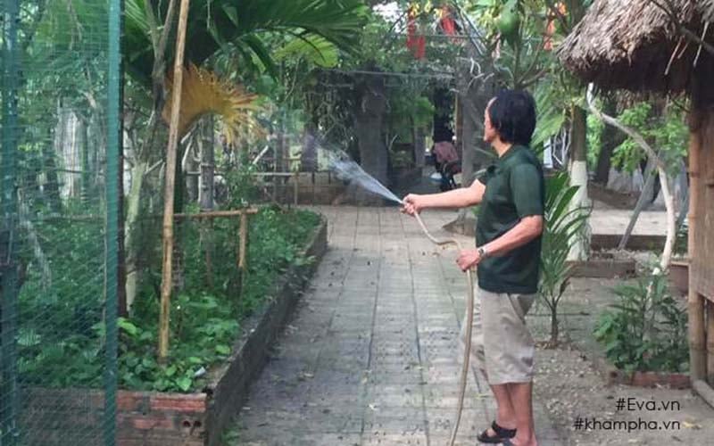 Ngoài ra, khu vườn ra anh còn có sấu, ổi, và các loại rau như dấp cá, rau má.Mỗi lần các con có biểu hiện ốm hay ho, anh đều dùng những bài thuốc dân gian có sẵn trong nhà mình cho các con uống. Ngoài ra, khu vườn ra anh còn có sấu, ổi, và các loại rau như dấp cá, rau má.Mỗi lần các con có biểu hiện ốm hay ho, anh đều dùng những bài thuốc dân gian có sẵn trong nhà mình cho các con uống.