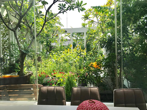 Tới thăm khu vườn 200m2 của nữ Giám đốc ở quận Tân Bình, chúng tôi ngỡ như vào mê cung với đủ loại rau, hoa, quả. Tới thăm khu vườn 200m2 của nữ Giám đốc ở quận Tân Bình, chúng tôi ngỡ như vào mê cung với đủ loại rau, hoa, quả.