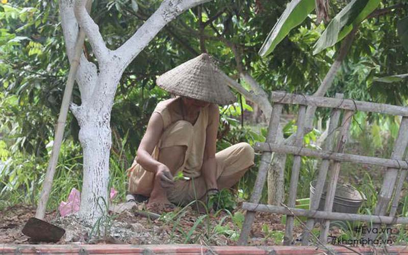 Hiện nay, anh đang trồng các loại rau trong vườn. Sắp tới anh sẽ cải tạo khu vườn của mình thực hiện trồng thủy canh rau xanh. Hiện nay, anh đang trồng các loại rau trong vườn. Sắp tới anh sẽ cải tạo khu vườn của mình thực hiện trồng thủy canh rau xanh.