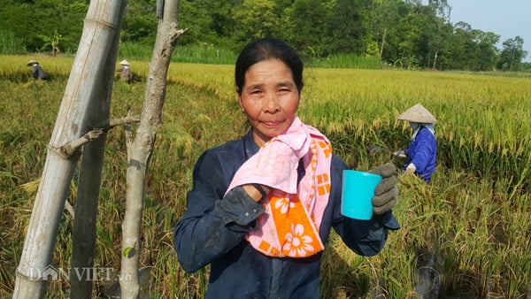 Bà con liên tục phải tiếp nước để tăng cường sức khỏe làm động dưới trời nắng nóng. Bà con liên tục phải tiếp nước để tăng cường sức khỏe làm động dưới trời nắng nóng.