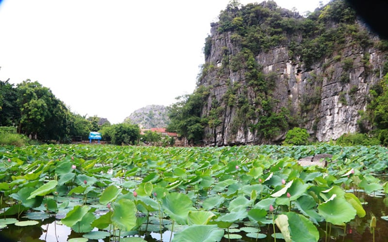  Bích động là một ngôi chùa độc nhất vô nhị ở Việt Nam, không nơi nào có thế đất, thế núi như vậy. Đứng trên chùa Thượng có thể phóng tầm mắt bao quát được toàn bộ cảnh đẹp quanh ngôi chùa như thế núi, hồ sen tạo cho du khách sự tĩnh lặng đến lạ thường.