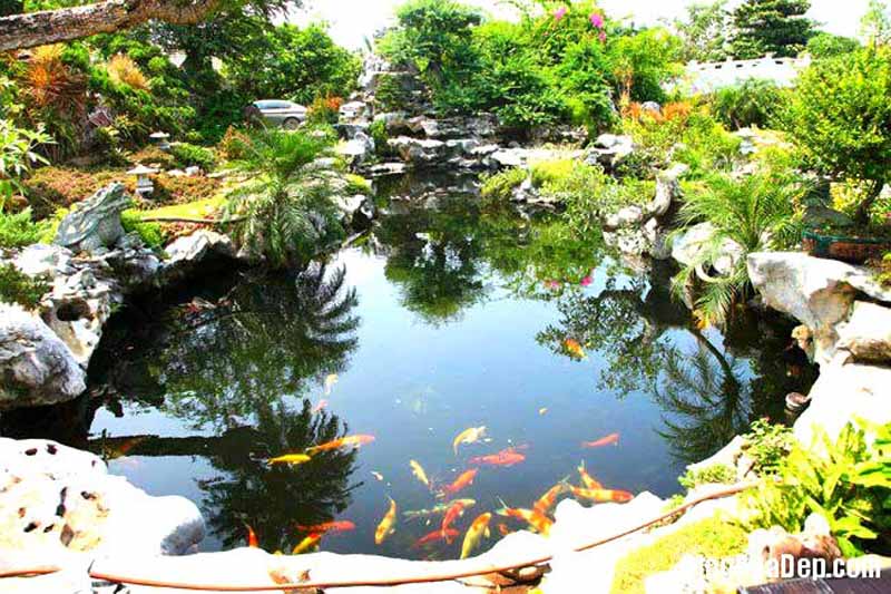 Nằm giữa trang trại rộng 25.000 mét vuông, theo mô hình con rùa do chính ông xã của cô – một họa sĩ, kiến trúc sư có tiếng dành nhiều tâm huyết xây dựng là biệt thự nhà sàn 2 tầng, gồm 10 gian. Ông xã Khánh Ly mua khung hai ngôi nhà sàn, một ngôi ở Nghệ An và 1 ngôi ở Thanh Hóa về ghép và sửa sang lại. Ảnh: Blognhàdep.com. Nằm giữa trang trại rộng 25.000 mét vuông, theo mô hình con rùa do chính ông xã của cô – một họa sĩ, kiến trúc sư có tiếng dành nhiều tâm huyết xây dựng là biệt thự nhà sàn 2 tầng, gồm 10 gian. Ông xã Khánh Ly mua khung hai ngôi nhà sàn, một ngôi ở Nghệ An và 1 ngôi ở Thanh Hóa về ghép và sửa sang lại. Ảnh: Blognhàdep.com.