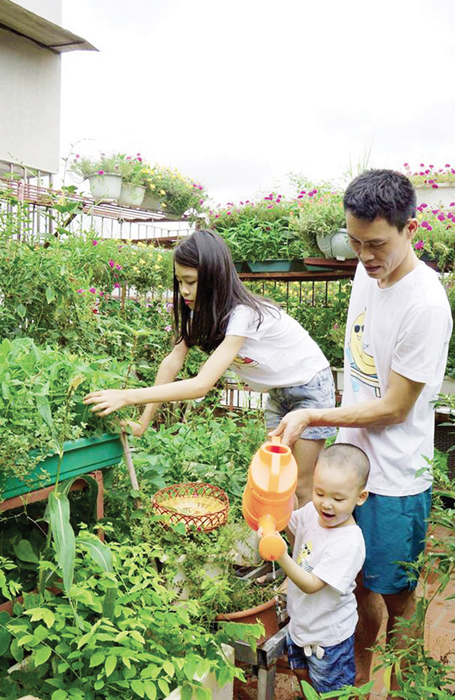 Một mô hình trồng rau được cộng đồng mạng quan tâm của bà mẹ trẻ tại Thành phố Lào Cai. Ảnh: Hồng Liên