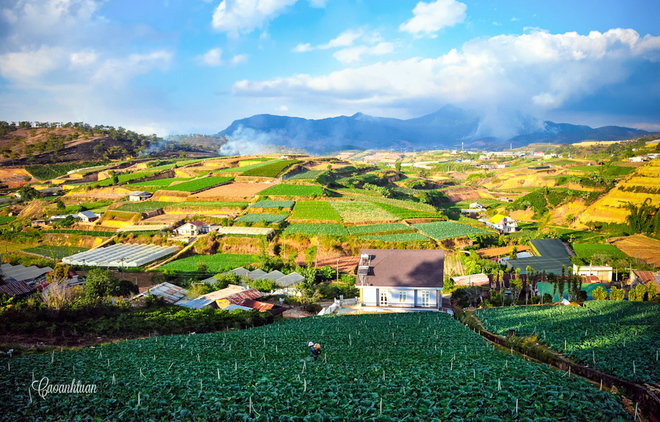 Bạn có thể tham quan những vườn rau hay hoa của nông dân, mua một chút về làm quà cho gia đình và bè bạn...