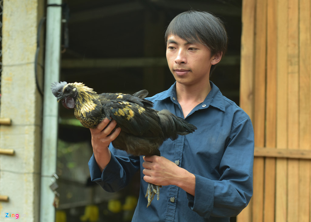 Có quy mô lớn nhất là trang trại của Vàng A Công. Sau khi tốt nghiệp Cao đẳng Thú y ở Thái Nguyên, Công trở về quê đầu tư hơn 100 triệu đồng mở trang trại nuôi 1.000 con gà đen. Có quy mô lớn nhất là trang trại của Vàng A Công. Sau khi tốt nghiệp Cao đẳng Thú y ở Thái Nguyên, Công trở về quê đầu tư hơn 100 triệu đồng mở trang trại nuôi 1.000 con gà đen.