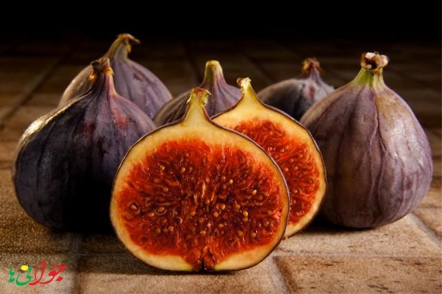 Khi trồng ở Việt Nam, cây sung Mỹ cho quả quanh năm và thu hoạch sau vài tháng nhưng số lượng rất ít, không cung cấp đủ nhu cầu của thị trường. Ảnh: Javaniha. Khi trồng ở Việt Nam, cây sung Mỹ cho quả quanh năm và thu hoạch sau vài tháng nhưng số lượng rất ít, không cung cấp đủ nhu cầu của thị trường. Ảnh: Javaniha.