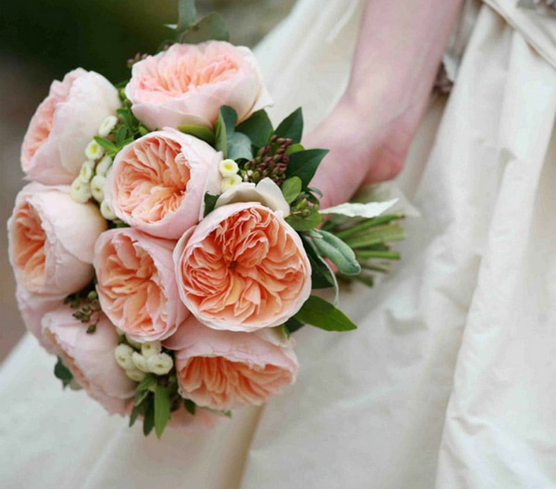Màu sắc tươi sáng, dáng hoa khum cộng với mùi thơm nhẹ quyến rũ, hoa hồng Juliet thường được cắt để cắm trong đám cưới, lễ tưởng niệm, các sự kiện đặc biệt. 