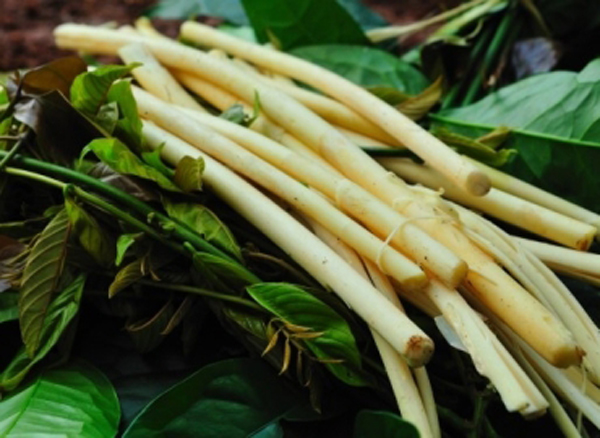 Đọt măng có thể chế biến thành vô vàn món ăn hấp dẫn. (Ảnh: dulich.vn) Đọt măng có thể chế biến thành vô vàn món ăn hấp dẫn. (Ảnh: dulich.vn)
