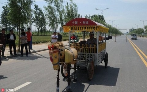 Con ngựa sắt này cao 1,2m, dài 1,7m và nặng hơn 100kg, kéo được chiếc xe chở người đi dạo phố. Con ngựa sắt này cao 1,2m, dài 1,7m và nặng hơn 100kg, kéo được chiếc xe chở người đi dạo phố.