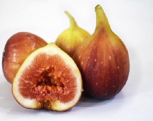 Mặc dù đắt gấp 20 lần sung Việt (300.000 - 350.000 đồng/kg), nhưng sung Mỹ thường xuyên trong tình trạng cháy hàng. Ảnh: Nongnghiep68. Mặc dù đắt gấp 20 lần sung Việt (300.000 - 350.000 đồng/kg), nhưng sung Mỹ thường xuyên trong tình trạng cháy hàng. Ảnh: Nongnghiep68.