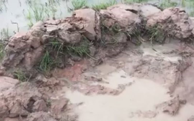Bạn đào một hố tròn như thế này, đảm bảo xung quanh phải được bồi đất cao để tránh trường hợp cá chạy mất. Bạn đào một hố tròn như thế này, đảm bảo xung quanh phải được bồi đất cao để tránh trường hợp cá chạy mất.
