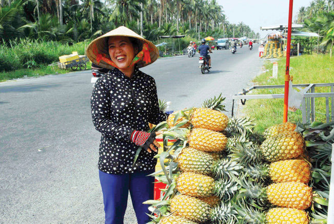 Dứa Tắc Cậu tươi được bán với giá từ 12.000 - 15.000 đồng/trái. Dứa Tắc Cậu tươi được bán với giá từ 12.000 - 15.000 đồng/trái.