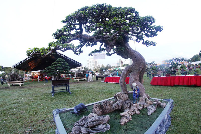Dáng đa huyền