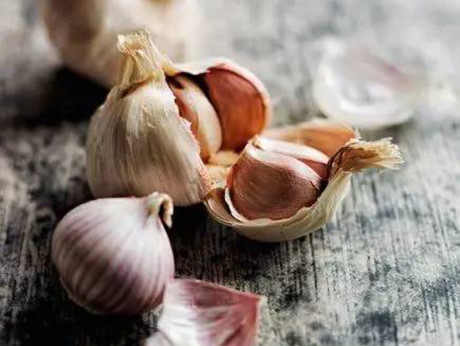 Tỏi giúp cây đuổi kiến và ốc sên. Tỏi giúp cây đuổi kiến và ốc sên.