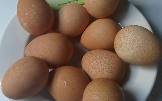 Trứng gà sao có lòng đỏ to, ít lòng trắng, nhiều đạm nên được thị trường ưa chuộng. Trứng gà sao có lòng đỏ to, ít lòng trắng, nhiều đạm nên được thị trường ưa chuộng.
