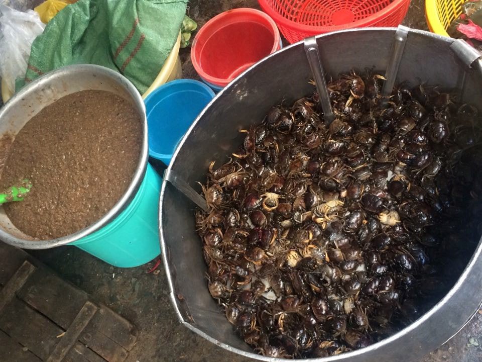 Máy xay có nhiều ruồi bâu, khó đảm bảo vệ sinh. Ảnh: Nguyên Võ Máy xay có nhiều ruồi bâu, khó đảm bảo vệ sinh. Ảnh: Nguyên Võ