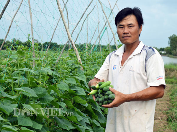 Trung bình mỗi năm gia đình anh Giang thu lãi trên 200 triệu đồng (Ảnh: Chúc Ly) Trung bình mỗi năm gia đình anh Giang thu lãi trên 200 triệu đồng (Ảnh: Chúc Ly)