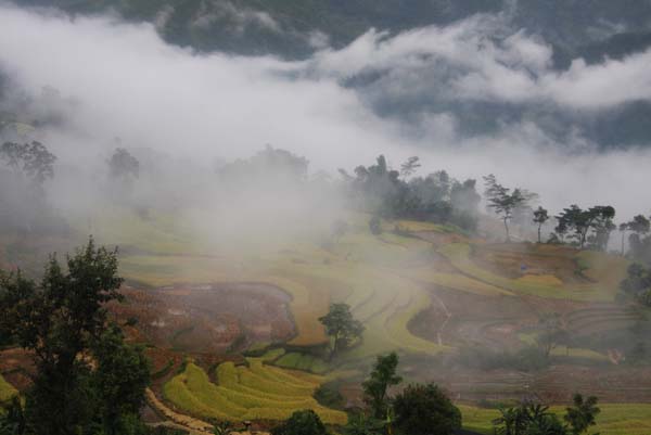 Ruộng bậc thang ở xã Bản Máy.