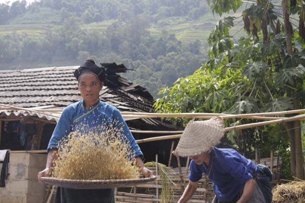 Để làm ra được một hạt thóc, bà con nơi đây trải qua muôn vàn gian khó.