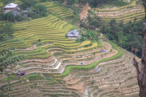 Trải qua bao gian nan khó nhọc, vỡ núi, dẫn nước nhập điền bà con mới tạo ra được những thửa ruộng bậc thang đẹp như tranh vẽ.