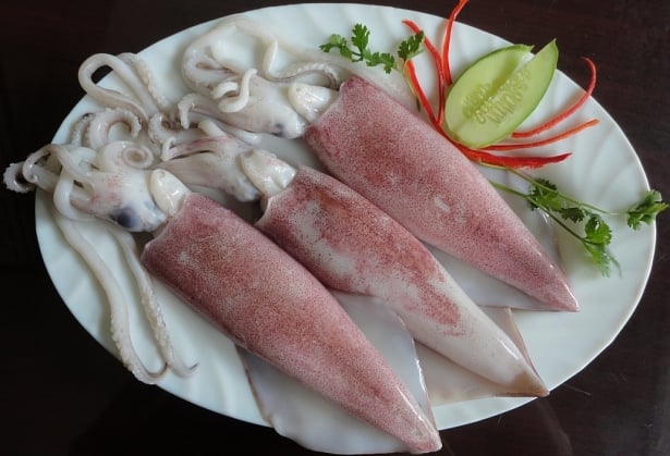 Mực ống tươi giàu chất dinh dưỡng (Ảnh minh họa) Mực ống tươi giàu chất dinh dưỡng (Ảnh minh họa)