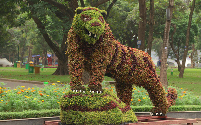 Gà trống Gà trống
