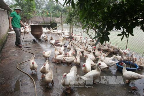 Hơn 61 ngàn hộ gia đình ở Hà Nam được vay vốn ưu đãi. Ảnh: Trần Việt - TTXVN Hơn 61 ngàn hộ gia đình ở Hà Nam được vay vốn ưu đãi. Ảnh: Trần Việt - TTXVN