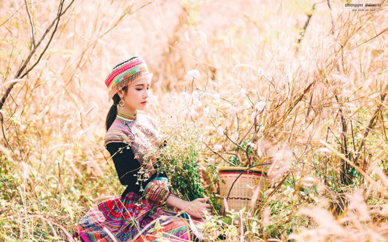Không chỉ có tam giác mạch, ekip của Phúc còn dựng thêm hoa anh đào, mang lại không khí mùa xuân tràn ngập khắp mọi nơi. Không chỉ có tam giác mạch, ekip của Phúc còn dựng thêm hoa anh đào, mang lại không khí mùa xuân tràn ngập khắp mọi nơi.