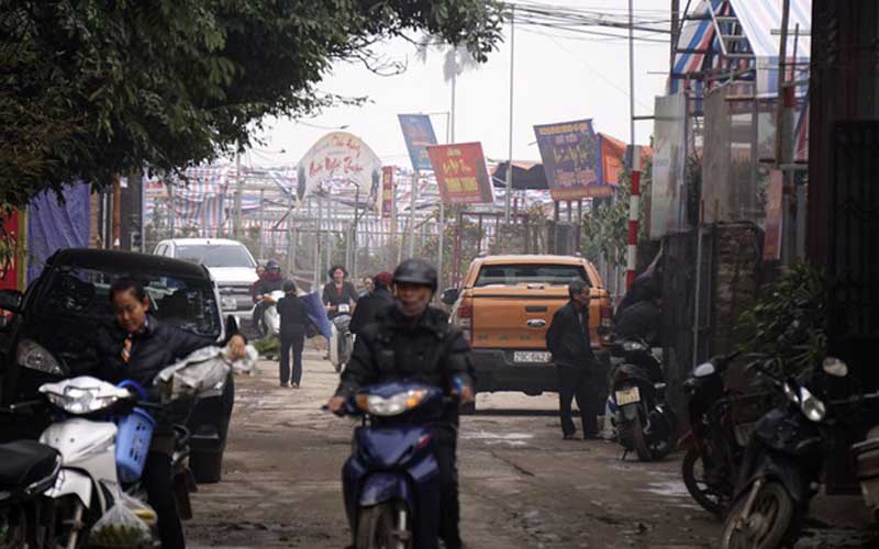 Con đường đê quai kéo dài vài cây số nối từ đất quất Tứ Liên đến đất đào Nhật Tân bắt đầu nhộn nhịp người mua bán suốt cả ngày. Thời điểm này nhiều khách đến chỉ ghi danh đặt hàng cho cây quất chứ không mang về ngay. Con đường đê quai kéo dài vài cây số nối từ đất quất Tứ Liên đến đất đào Nhật Tân bắt đầu nhộn nhịp người mua bán suốt cả ngày. Thời điểm này nhiều khách đến chỉ ghi danh đặt hàng cho cây quất chứ không mang về ngay.