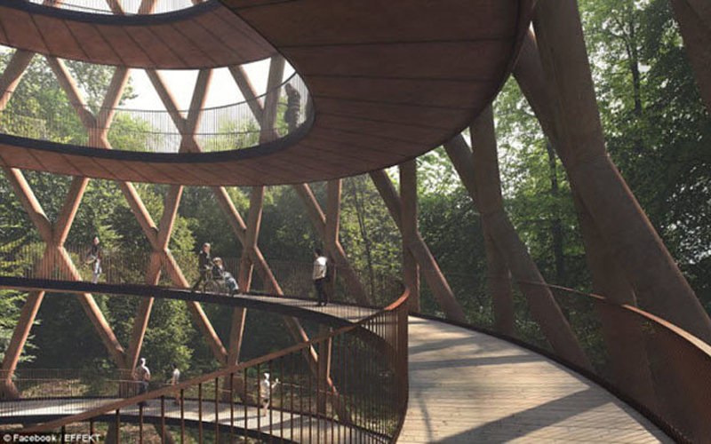 Đài quan sát Treetop Experience có thể phục vụ tối đa 10.000 người cùng một lúc. Đài quan sát Treetop Experience có thể phục vụ tối đa 10.000 người cùng một lúc.